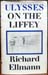 Ulysses On The Liffey - Richard Ellmann